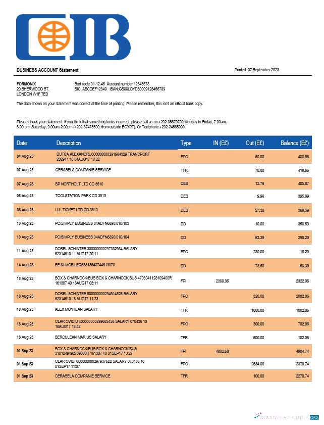 Download CIB Bank enterprise account statement Word and PDF template Photoshop template